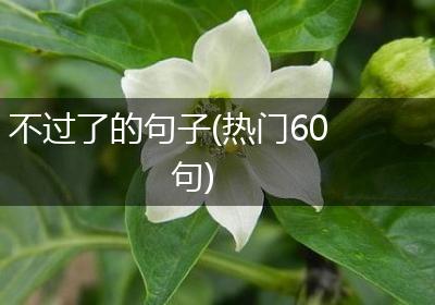 不过了的句子(热门60句)