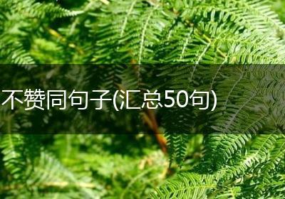 不赞同句子(汇总50句)