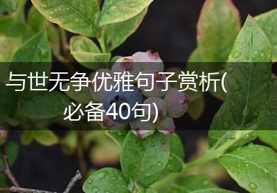 与世无争优雅句子赏析(必备40句)