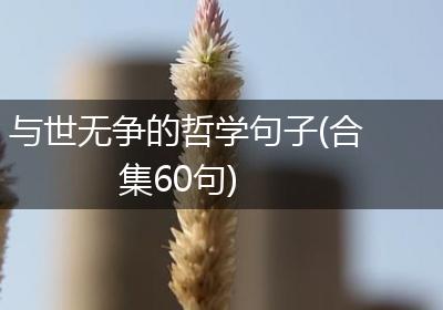 与世无争的哲学句子(合集60句)