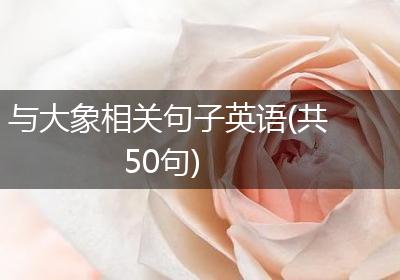 与大象相关句子英语(共50句)