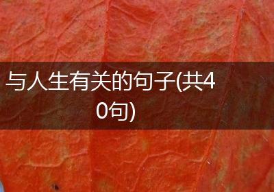与人生有关的句子(共40句)