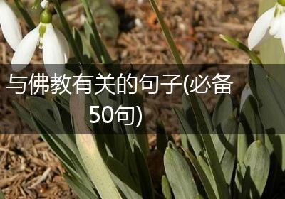 与佛教有关的句子(必备50句)