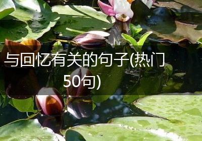 与回忆有关的句子(热门50句)