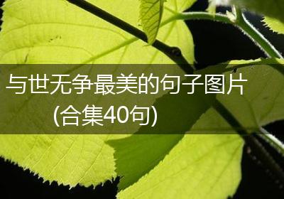 与世无争最美的句子图片(合集40句)