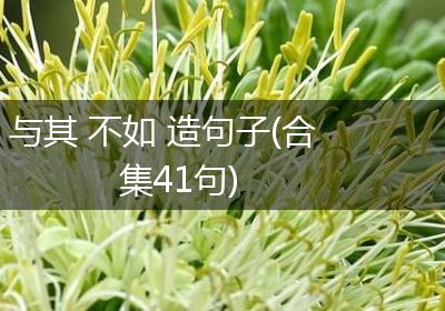 与其 不如 造句子(合集41句)