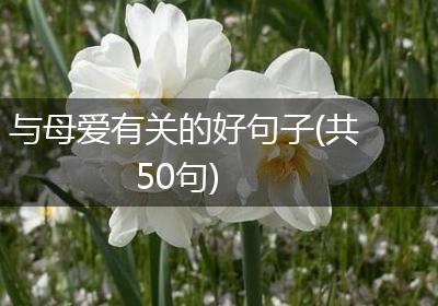与母爱有关的好句子(共50句)