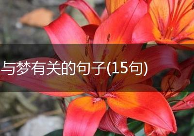 与梦有关的句子(15句)