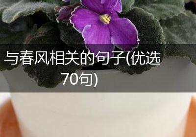 与春风相关的句子(优选70句)