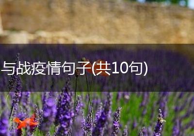 与战疫情句子(共10句)