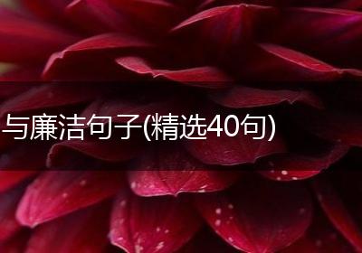 与廉洁句子(精选40句)