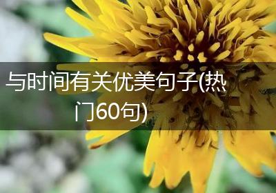 与时间有关优美句子(热门60句)