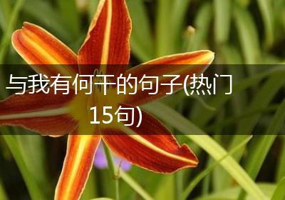 与我有何干的句子(热门15句)