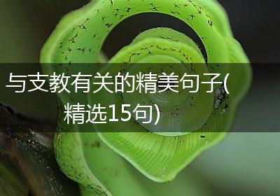 与支教有关的精美句子(精选15句)