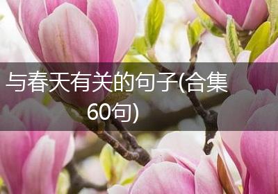 与春天有关的句子(合集60句)