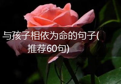 与孩子相依为命的句子(推荐60句)