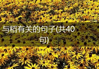 与稻有关的句子(共40句)