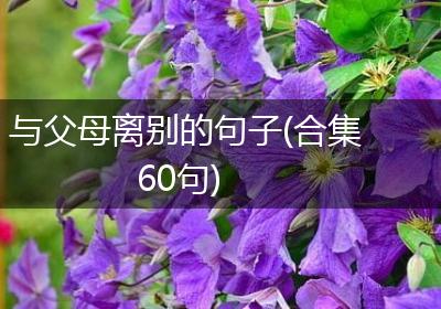 与父母离别的句子(合集60句)