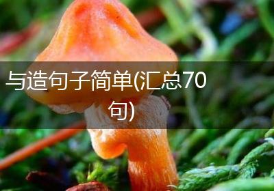 与造句子简单(汇总70句)
