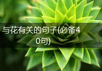 与花有关的句子(必备40句)
