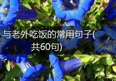 与老外吃饭的常用句子(共60句)