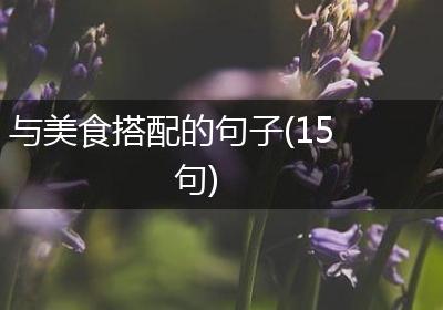 与美食搭配的句子(15句)