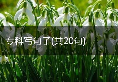 专科写句子(共20句)
