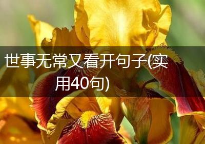 世事无常又看开句子(实用40句)