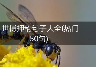 世博押韵句子大全(热门50句)
