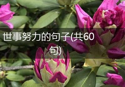 世事努力的句子(共60句)