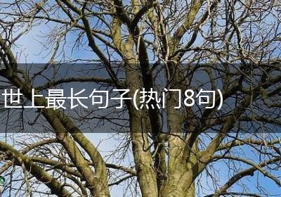 世上最长句子(热门8句)
