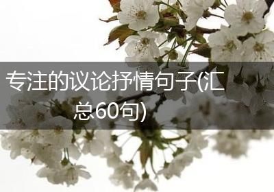 专注的议论抒情句子(汇总60句)