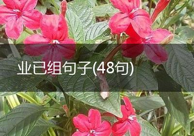 业已组句子(48句)