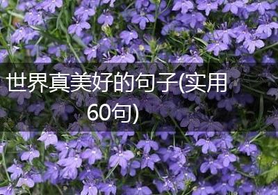 世界真美好的句子(实用60句)