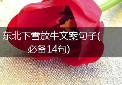 东北下雪放牛文案句子(必备14句)
