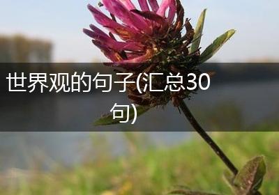 世界观的句子(汇总30句)