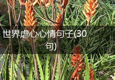 世界虐心心情句子(30句)