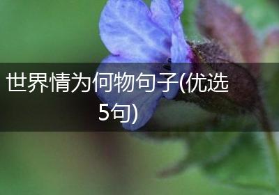 世界情为何物句子(优选5句)