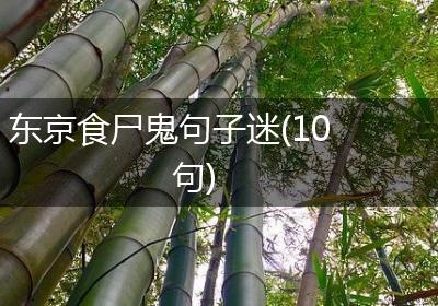 东京食尸鬼句子迷(10句)