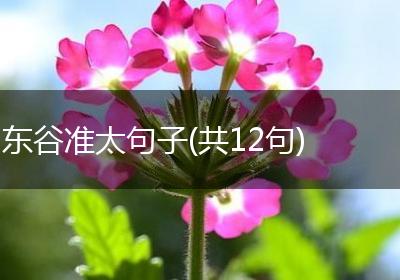 东谷准太句子(共12句)