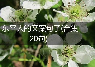 东平人的文案句子(合集20句)