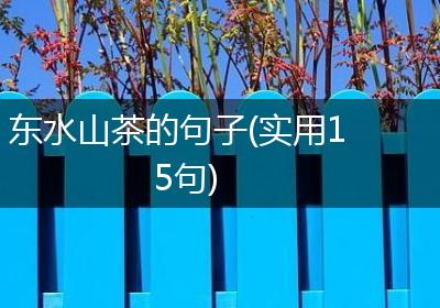 东水山茶的句子(实用15句)