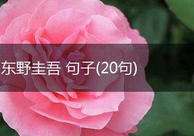 东野圭吾 句子(20句)