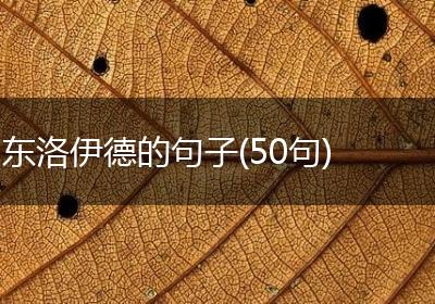 东洛伊德的句子(50句)