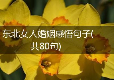 东北女人婚姻感悟句子(共80句)