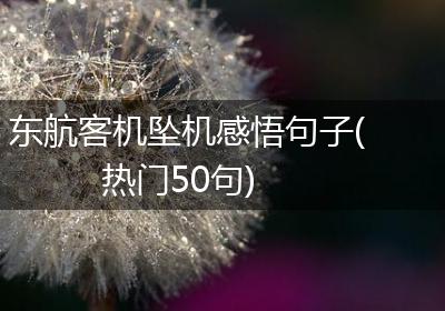 东航客机坠机感悟句子(热门50句)