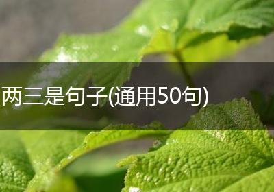 两三是句子(通用50句)
