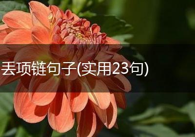 丢项链句子(实用23句)