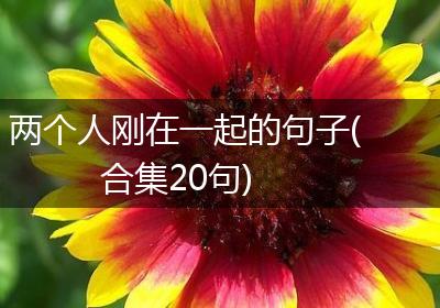 两个人刚在一起的句子(合集20句)