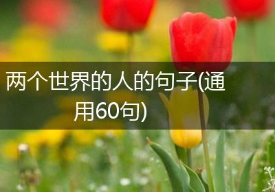 两个世界的人的句子(通用60句)